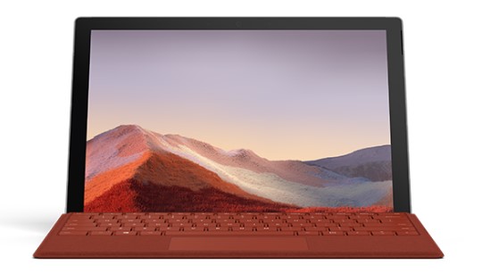 八所镇清洁和维护 Surface